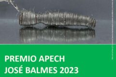 Premio APECH José Balmes 2023